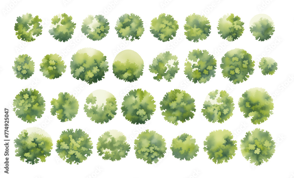 Fototapeta premium Various green trees, bushes and shrubs, top view for landscape design plan. Isolated watercolor illustration, PNG cutout.