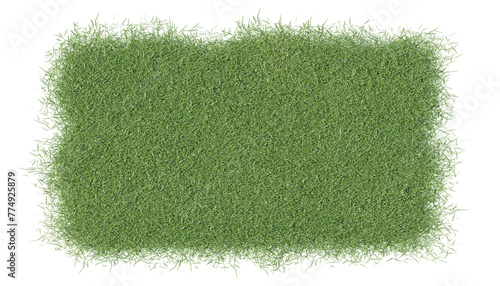 3D rendering of the green grass isolated on a white background. Transparent background PNG file.  photo
