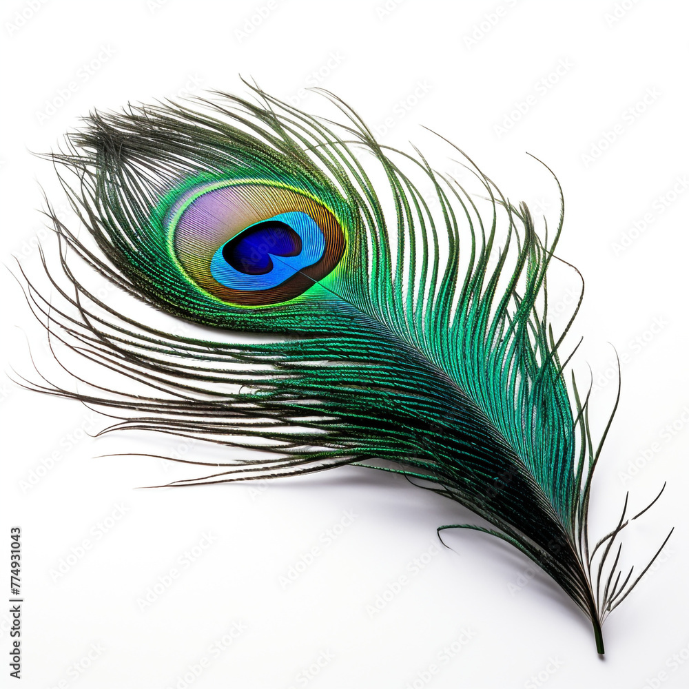 Naklejka premium peacock feather on a white background сreated with Generative Ai