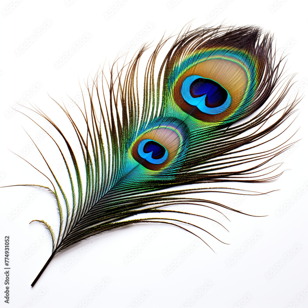 Fototapeta premium peacock feather on a white background сreated with Generative Ai