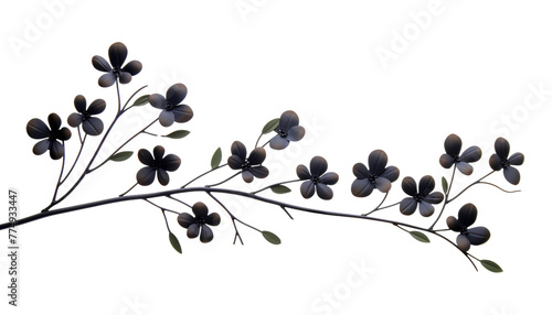 branch of a tree with black flowers isolated on transparent background cutout