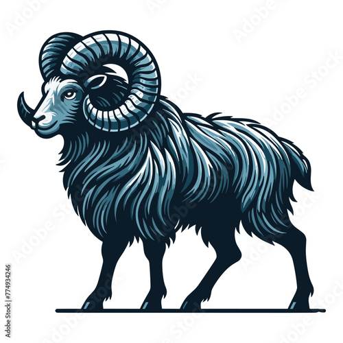 Bighorn horned ram sheep full body vector illustration, farm pet, animal livestock, butchery meat shop element, agriculture concept, design isolated on white background