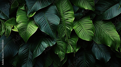 Green leaves background. Tropical leaves texture. Top view. Flat lay