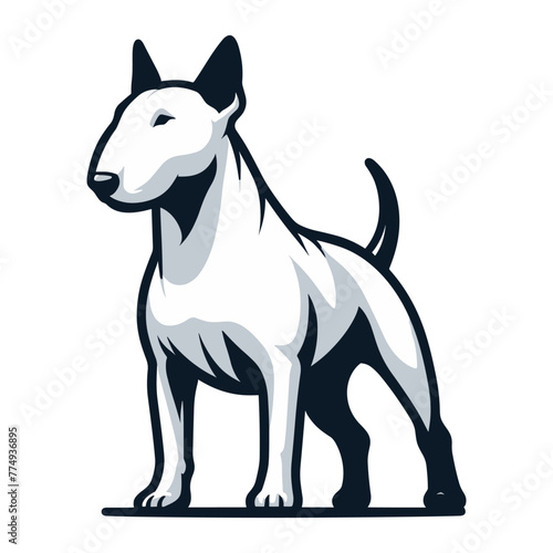 Bull terrier dog full body design illustration  standing purebred dog concept  cute adorable funny pet animal vector template isolated on white background