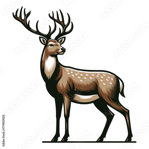 Deer full body design illustration  standing reindeer with antlers illustration  wild mammal animal concept. Vector template isolated on white background