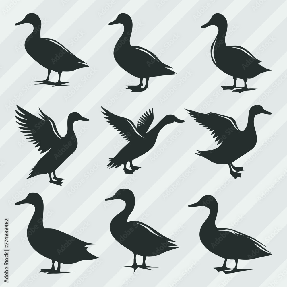 Fototapeta premium Duck vector silhouettes bundle, Set of various pose duck collection