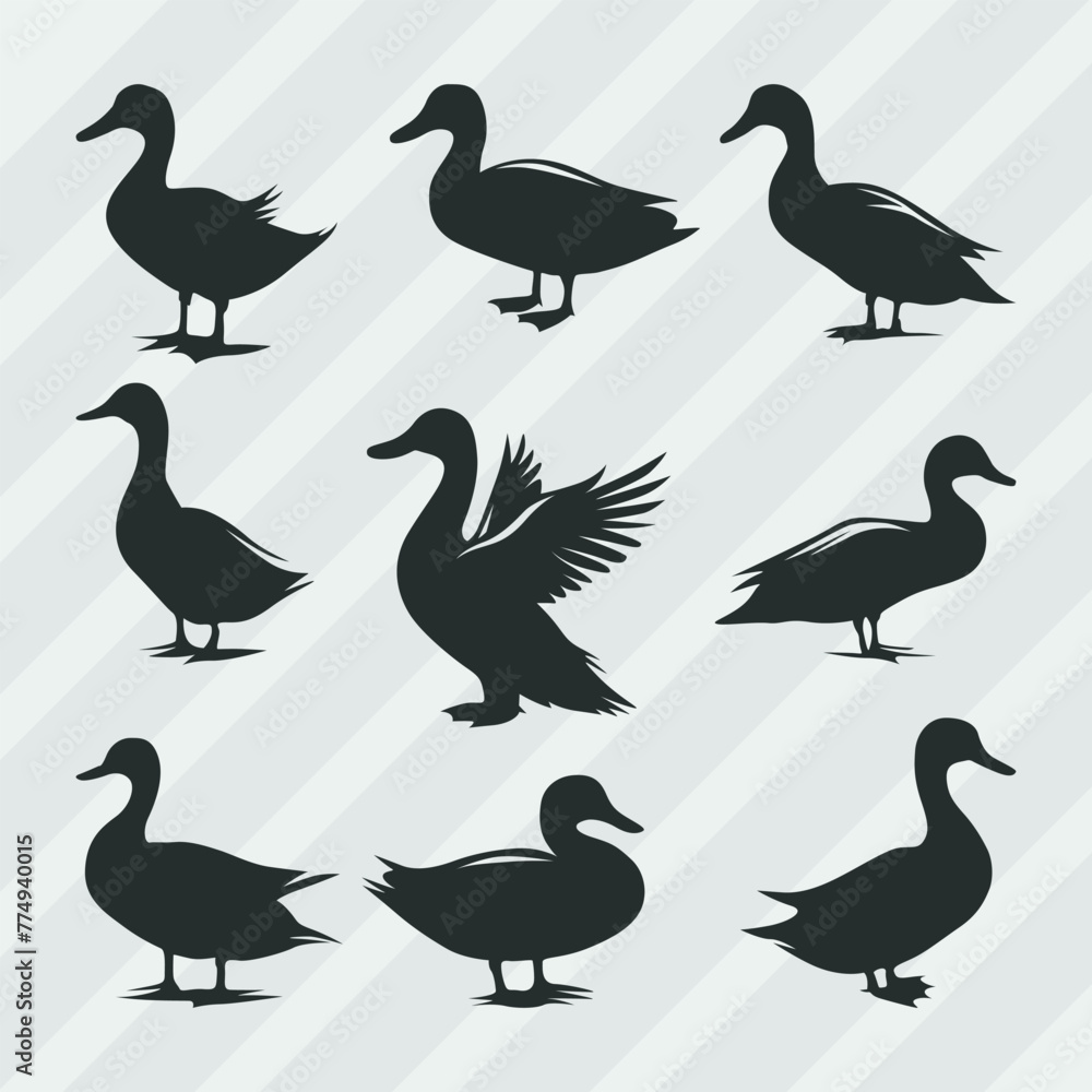 Fototapeta premium Duck vector silhouettes bundle, Set of various pose duck collection