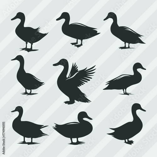 Duck vector silhouettes bundle  Set of various pose duck collection