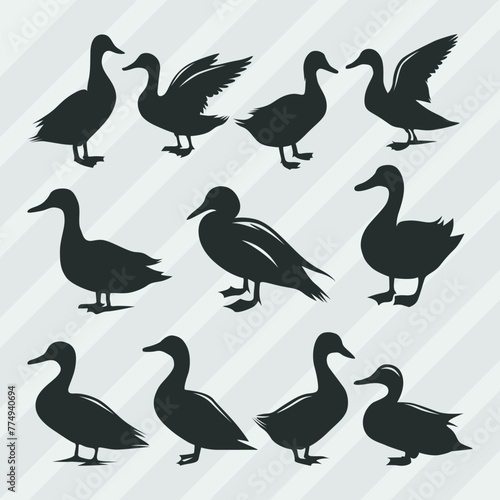 Duck vector silhouettes bundle  Set of various pose duck collection