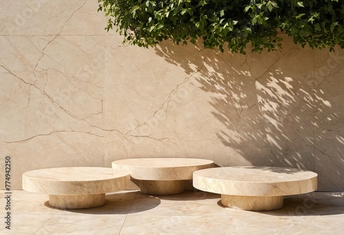 Artistic Representation of Beige Marble Platforms with Tree Foliage Shadow on the Wall