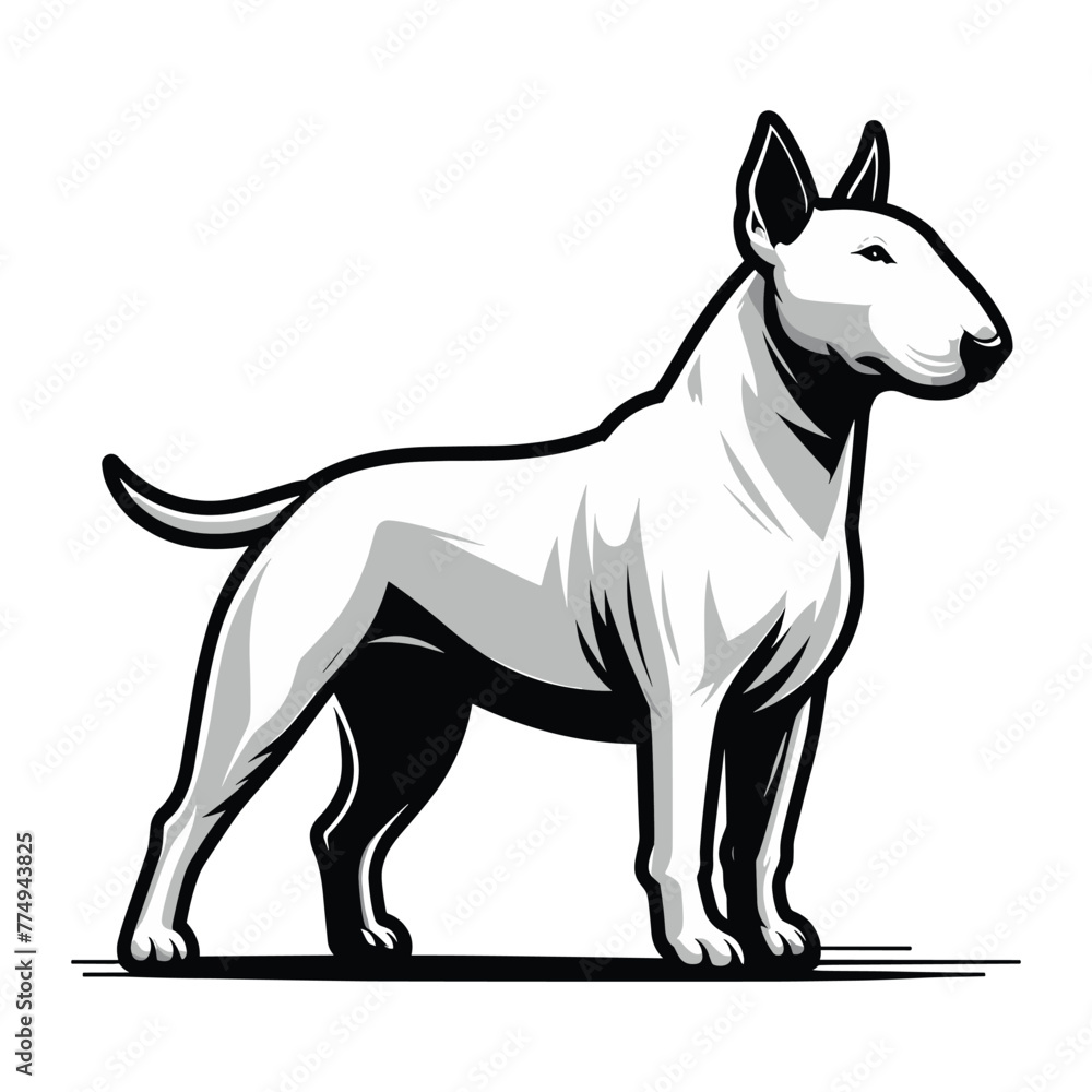 Bull terrier dog full body design illustration, standing purebred dog concept, cute adorable funny pet animal vector template isolated on white background