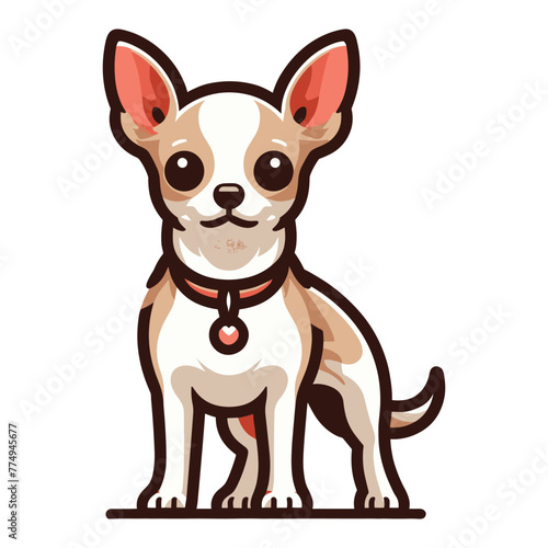 Cute chihuahua dog full body vector illustration  funny adorable pet animal  standing purebred chihuahua doggy flat design template isolated on white background