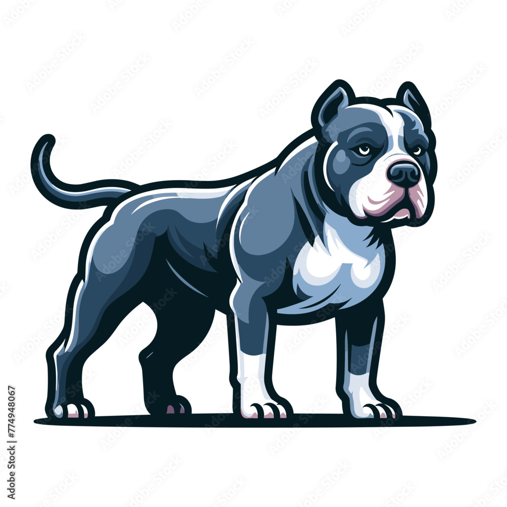 Pitbull bulldog full body design illustration, Full-length portrait of a standing animal pet pitbull terrier dog. Vector template isolated on white background