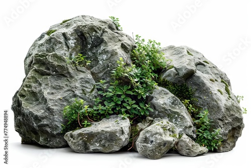 Large rocks with overgrown foliage, moss, and plants isolated on white background - Nature elements