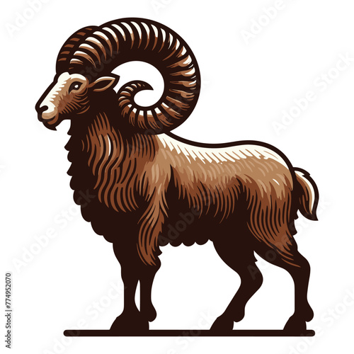 Horned ram bighorn sheep full body vector illustration  animal livestock  farm pet  agriculture concept  butchery meat shop element design isolated on white background