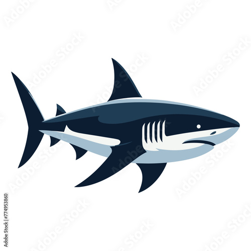 Wild great white shark design illustration  marine predator animal element illustration  swimming angry toothy shark vector template isolated on white background