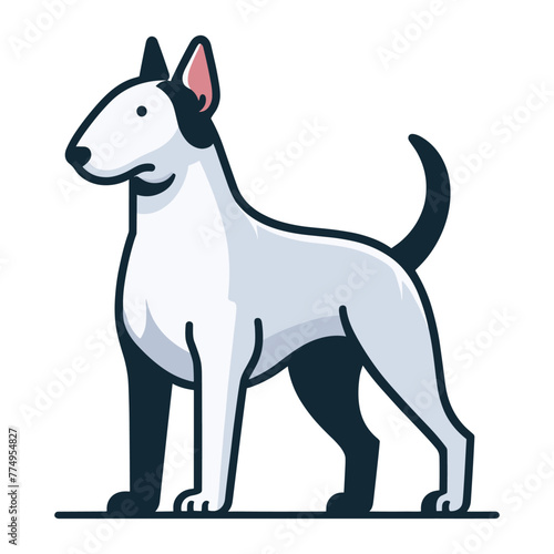 Bull terrier dog full body design illustration  standing purebred dog concept  cute adorable funny pet animal vector template isolated on white background