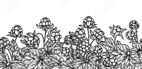 Seamless horizontal vector pattern of cloudberry garden in engraving style