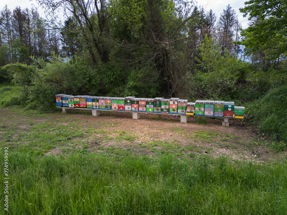 Hive in the field, pastures for the bee colony, aerial shot. Beekeeping nature concepts. Hive in the field, pastures for the bee colony, aerial shot. Beekeeping nature concepts.