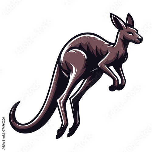 Kangaroo full body vector illustration  Australian mammal animal mascot character  wildlife zoology illustration. Design template isolated on white background