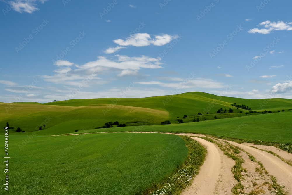 country road. long road on hills with green grass, blue sky. freedom and beauty concept