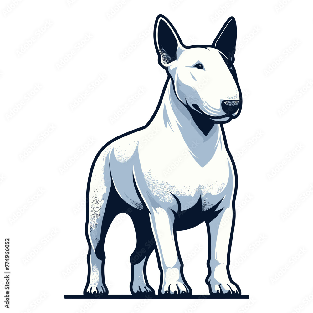 Bull terrier dog full body vector illustration, cute adorable funny pet animal, standing purebred dog concept design template isolated on white background