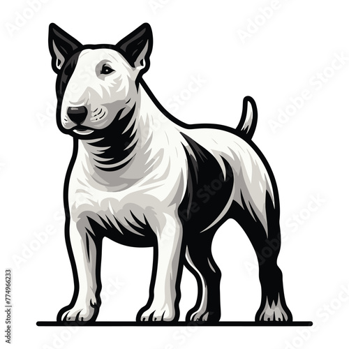 Bull terrier dog full body design illustration  standing purebred dog concept  cute adorable funny pet animal vector template isolated on white background