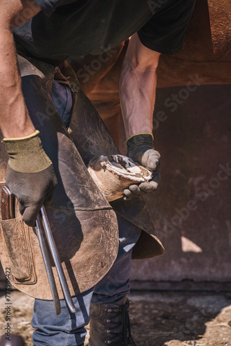 The farrier checks the condition of the horse's hoof.