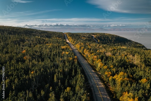 Aerial shot of a road going along a forest of yellow and green trees on a sunny autumn day photo