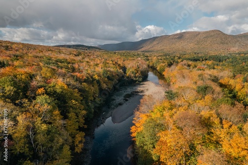Aerial shot of a creek flowing along the colorful trees of an autumn forest © Wirestock