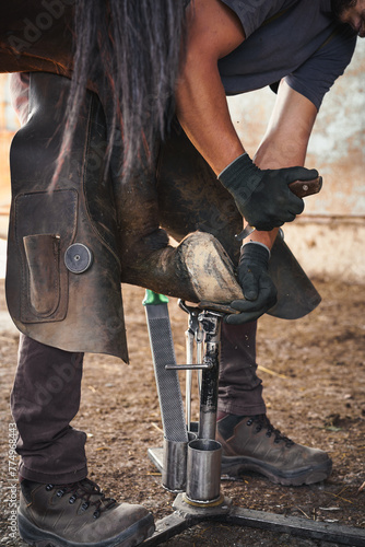 The farrier prepares the hoof for shoeing. The farrier trims and rasps off the excess hoof wall from the horse's hoof in the stable. Side view. © Skatty