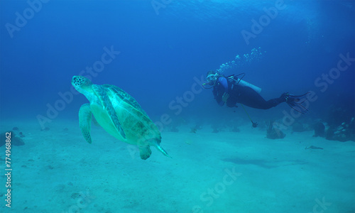 a diver and a sea turtle on a reef in the caribbean sea © gustavo