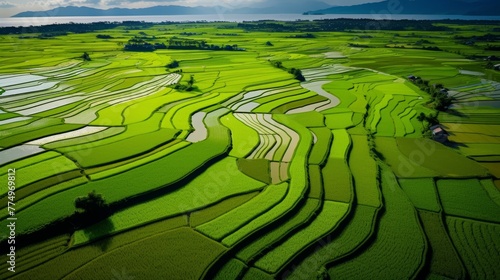 background of stacked images of green fields from a drone