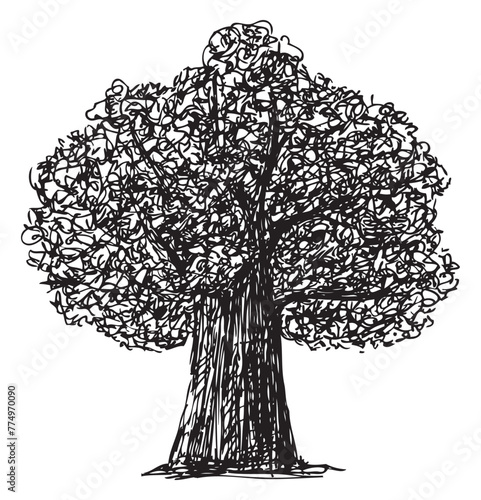 Oak tree silhouette, hand drawing, doodle, single, black, vector illustration isolated on white