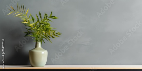 Vase with green plant on shelf against a grey background. Interior design