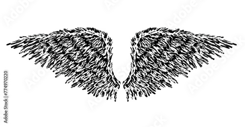Wings, feathers, textured, hand drawn, pair, flight, freedom, angel, devil, vector illustration isolated on white