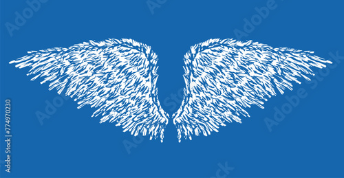 Wings, feathers, textured, hand drawn, pair, flight, freedom, angel, vector illustration,blue background