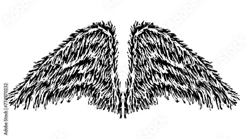  Wings, feathers, textured, hand drawn, two, freedom, flight, devil, angel, silhouette, vector illustration isolated on white