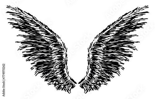 Wings, feathers, textured, hand drawn, two, flight, freedom,devil, angel, silhouette, vector illustration isolated on white