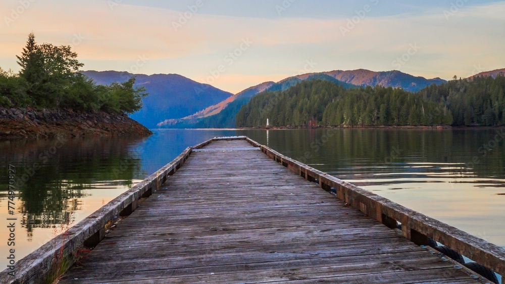 custom made wallpaper toronto digitalAerial view of bridge in lake surrounded by dense trees