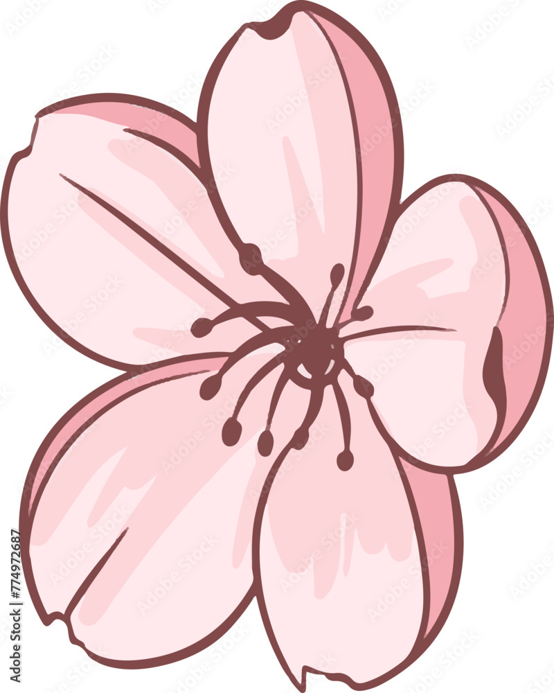 flowers blossom and cherry blossom flowers blossom and cherry blossom