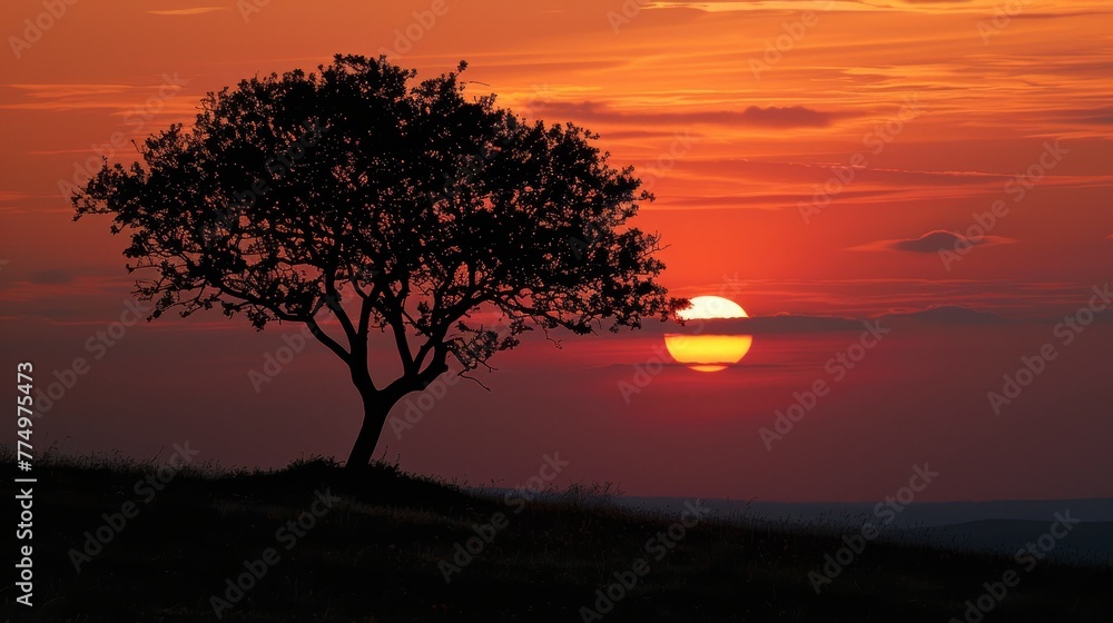 A lone tree silhouetted against the setting sun  AI generated illustration