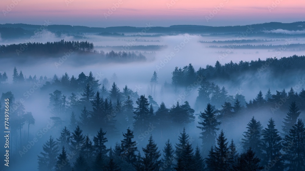 A serene scene of foggy forest at dawn AI generated illustration A serene scene of foggy forest at dawn AI generated illustration