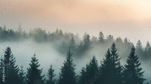 A serene scene of  foggy forest at dawn  AI generated illustration photo