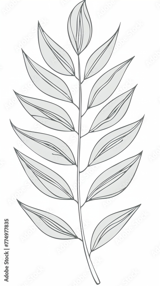 Fototapeta premium Palm leaf, thin stem. The leaf is dark green and has a slightly wavy texture.