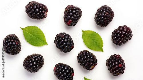 Blackberry isolated on white background close up. Blackberry collection Clipping Path. Professional studio macro shooting. photo