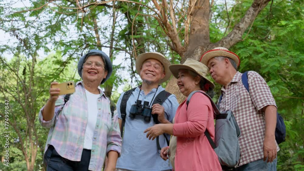 Senior retirement activity, Group of happy senior friends on forest excursion looking Map and compass and GPS at a mobile phone during vacation, Backpack tourist travel outdoor holiday adventure Senior retirement activity, Group of happy senior friends on forest excursion looking Map and compass and GPS at a mobile phone during vacation, Backpack tourist travel outdoor holiday adventure