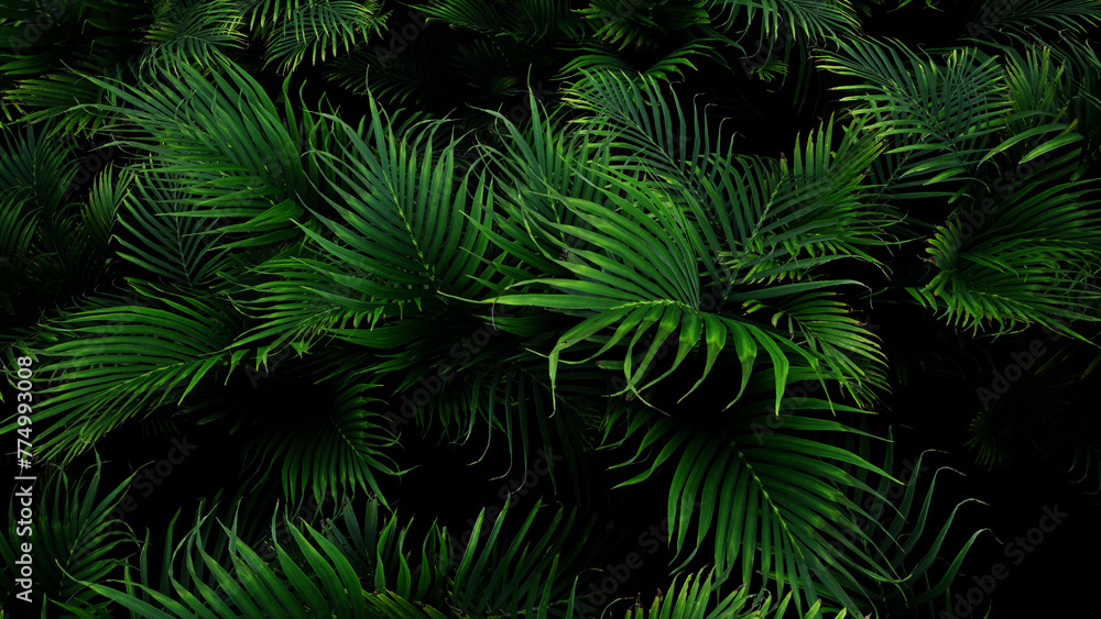 3D Render Palm Tree Nature Landscape