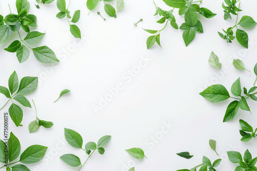 Green leaves frame. Herbal foliage border decoration on a white background. Top view in copy space with a place for text. For invitations, weddings, greeting cards. Generative AI