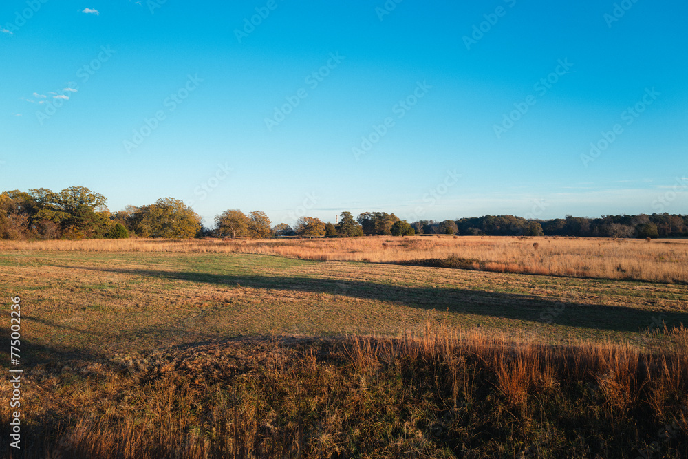 Obraz premium Field in sunset